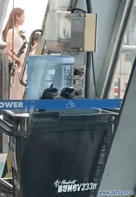 网友偶遇杨颖带小海绵蹦极 画面有爱氛围温馨 