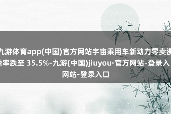 九游体育app(中国)官方网站宇宙乘用车新动力零卖浸透率跌至 35.5%-九游(中国)jiuyou·官方网站-登录入口