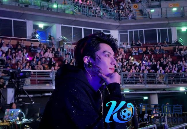 王鹤棣DPARTY演唱会 音乐派对变综艺秀