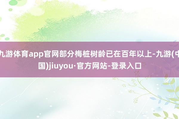 九游体育app官网部分梅桩树龄已在百年以上-九游(中国)jiuyou·官方网站-登录入口