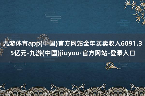 九游体育app(中国)官方网站全年买卖收入6091.35亿元-九游(中国)jiuyou·官方网站-登录入口