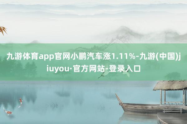 九游体育app官网小鹏汽车涨1.11%-九游(中国)jiuyou·官方网站-登录入口
