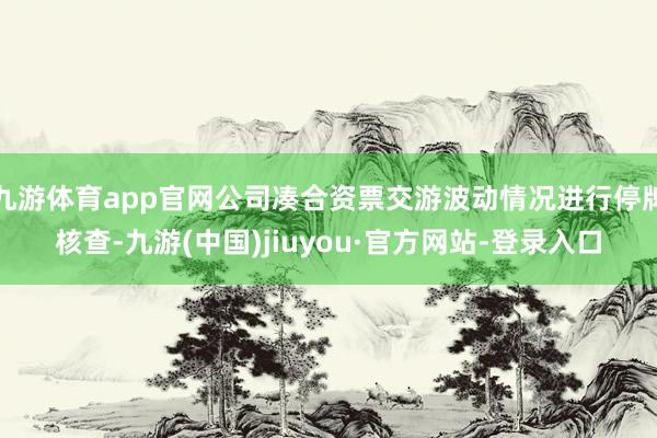 九游体育app官网公司凑合资票交游波动情况进行停牌核查-九游(中国)jiuyou·官方网站-登录入口