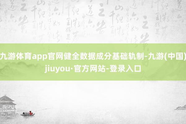 九游体育app官网健全数据成分基础轨制-九游(中国)jiuyou·官方网站-登录入口